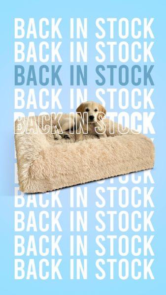 dog bed, pet bed, dog cushion, pet cushion, dog furniture, pet furniture, orthopedic dog bed, new arrival, modern typography, playful, blue, neutral